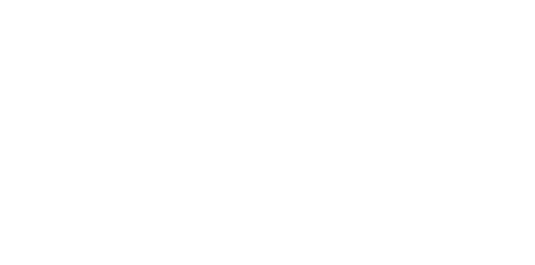 Luz Vida